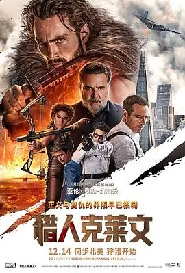 星空电影候鸟与北极星海报